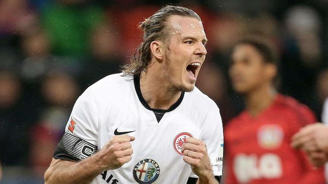 夺得了欧洲 夺得了欧洲